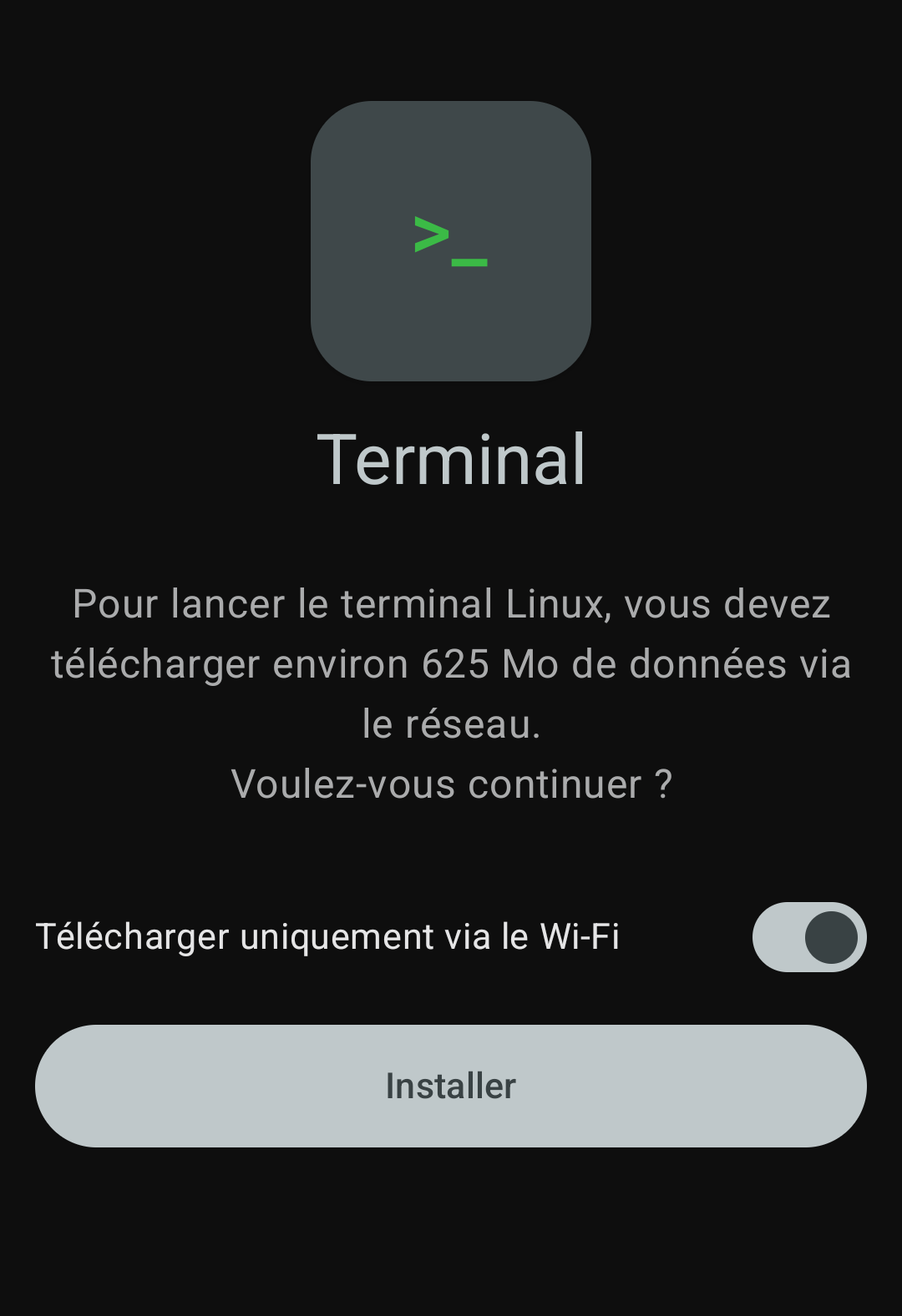 Écran d'installation du terminal Linux sur le Pixel 11 Pro, téléchargement de 625 Mo requis