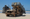 Weekly Intelligence Brief