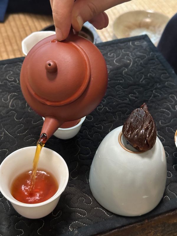 Fig & Tea: A Gentle Encounter of Sweetness and Steep