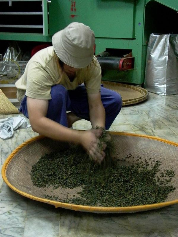 Oolong Tea Processing