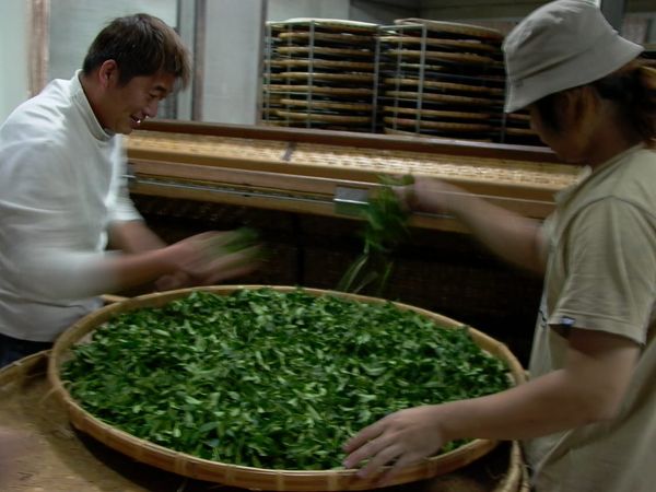 How the 921 Earthquake Changed Taiwan’s Tea Industry