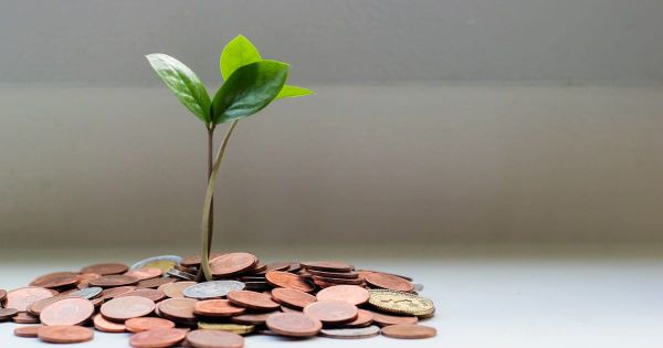 越境EC税務の「適正価格」とは？｜大手向けサービスと中小向けの違いを読み解く