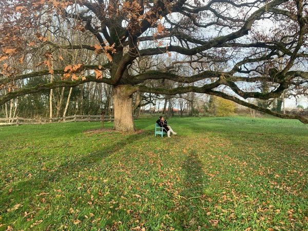 Rust? Já! Maar eerst nog ff...