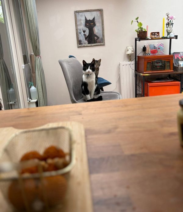 De airfryer: yay or nay?