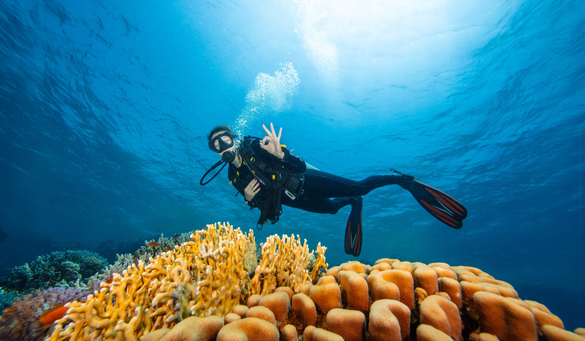 Recreational scuba diver diving on a shallow tropical reef