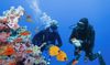 11 Scuba Diving tips for beginner divers