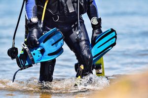 Diving fins: Everything you need to know