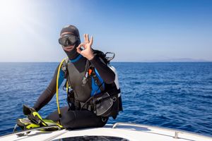 Diving suit: Everything you need to know