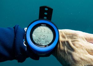 Dive Computers: Everything you  need to know