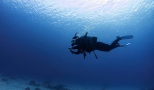 Diving Theory: What is Partial Pressure?