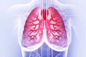 The alveolar gas equation and inert gas