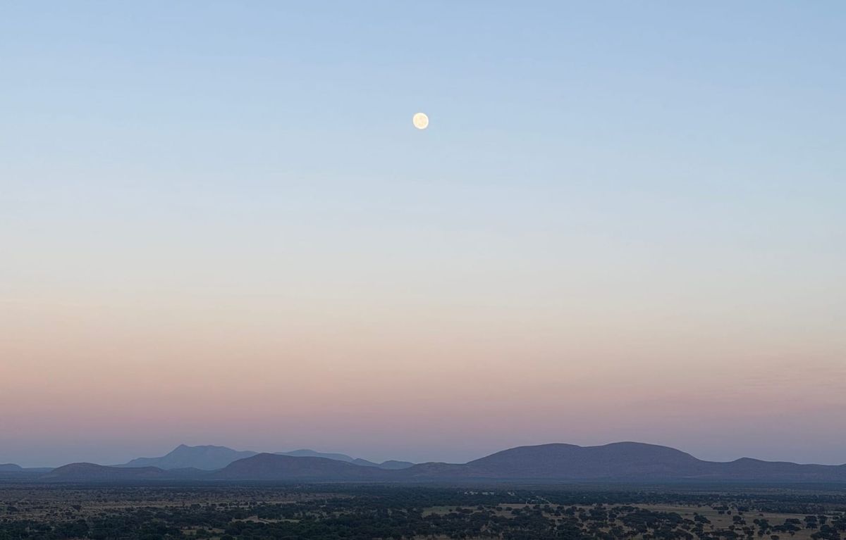 The FDA's Reversal On uniQure's Gene Therapy For Huntington's Is a Disaster For Medical Innovation