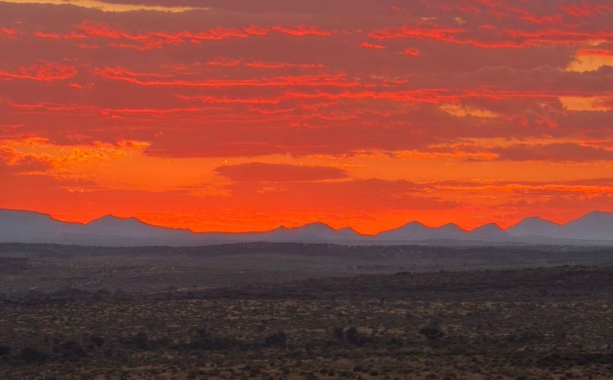 Why uniQure’s AMT-130 For Huntington’s Is Not "Too Good To Be True"