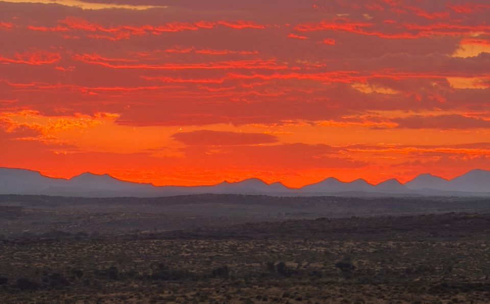 Why uniQure’s AMT-130 For Huntington’s Is Not "Too Good To Be True"