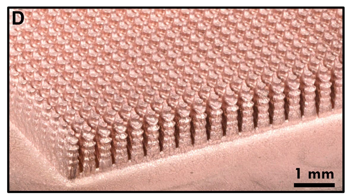 Photo of grid of lump copper pins, with scale bars showing each is around 0.5 millimeters in diameter.