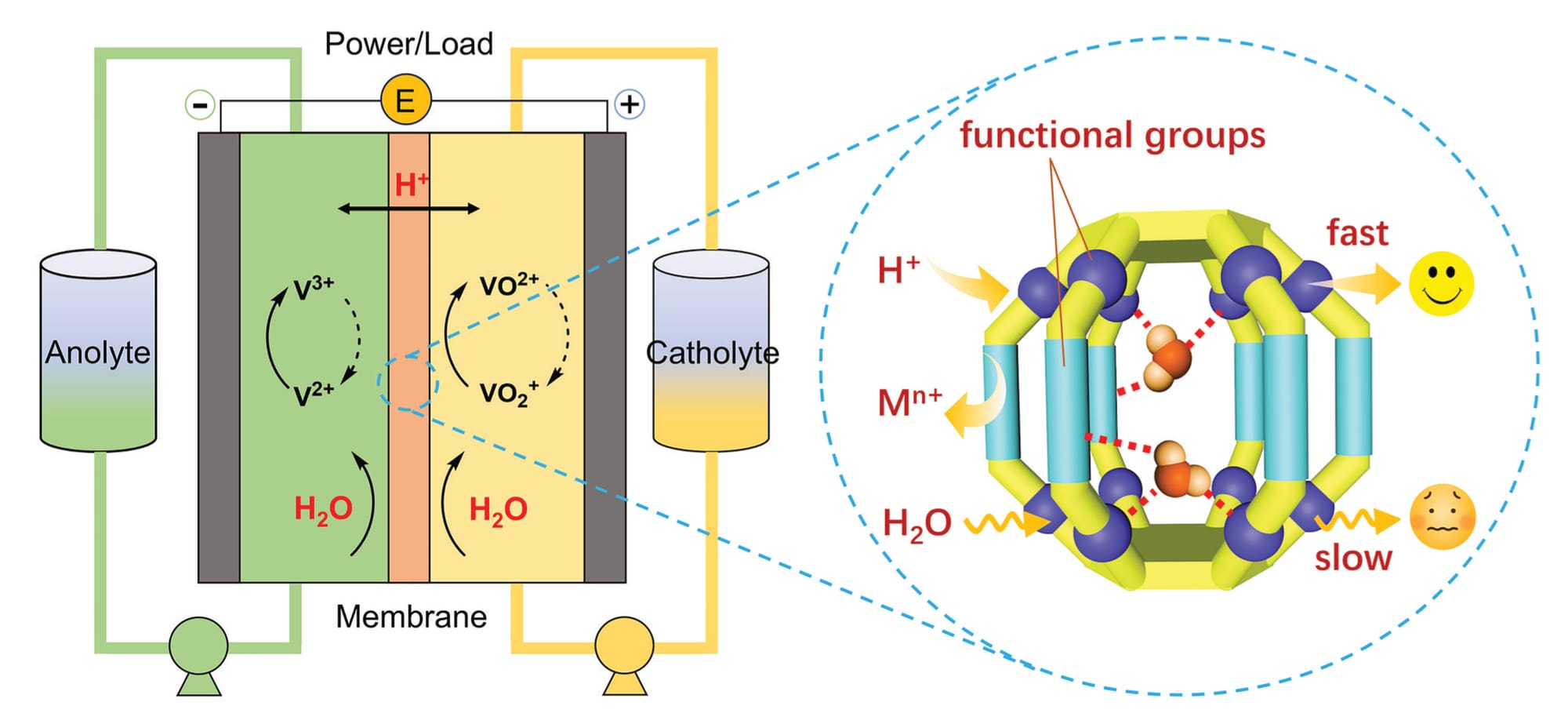 A simple diagram showing the membrane in between anolyte and catholyte, and a lantern-shaped cage.