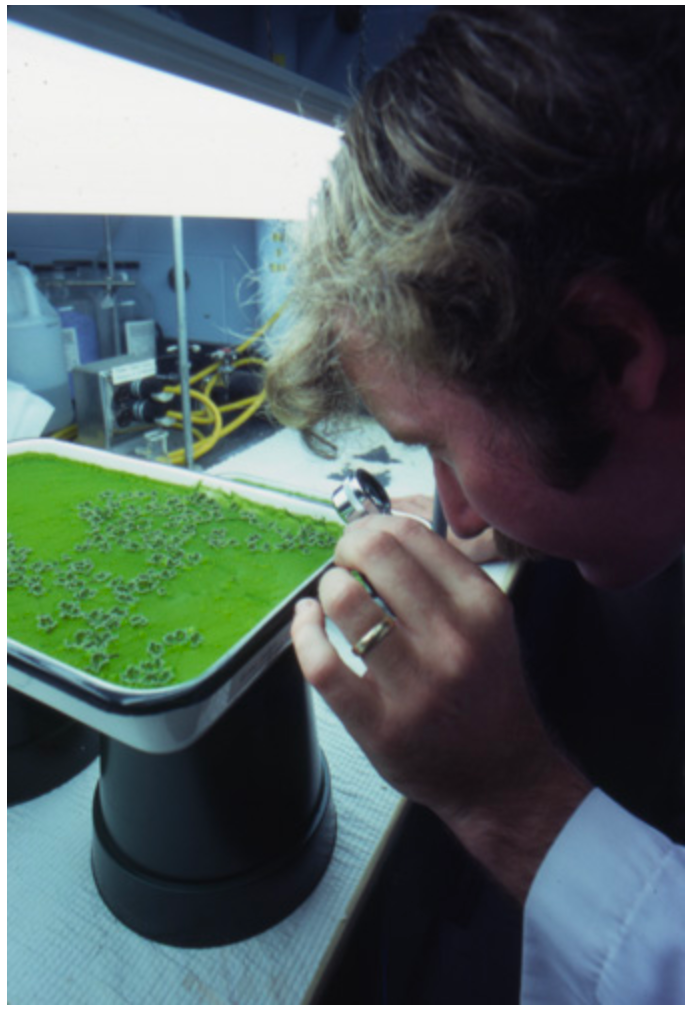 The Trouble With "Market-Based" Climate Solutions