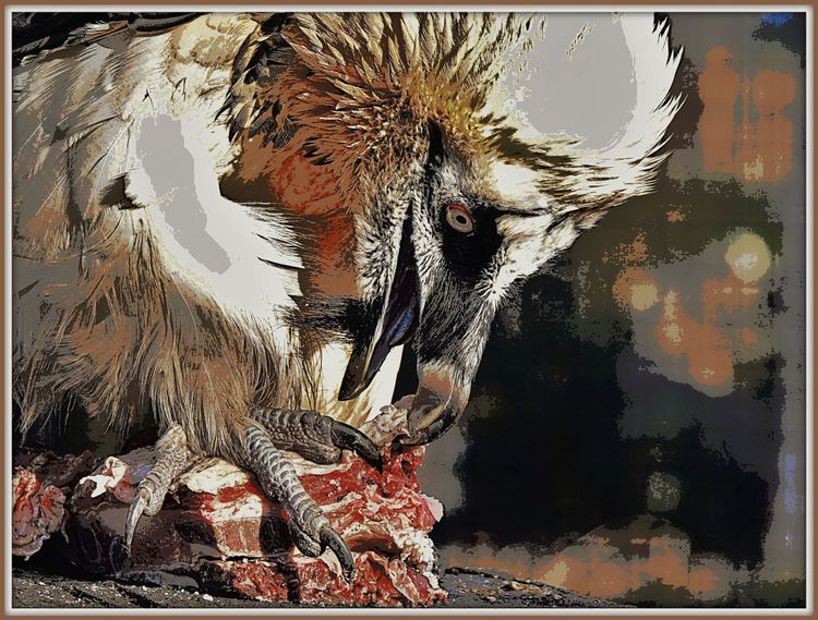 You Can't Fight Extraction With Extraction