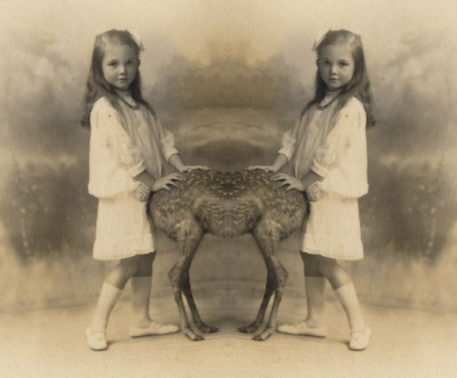 Mark Mothersbaugh, The Petting Zoo, 2010.