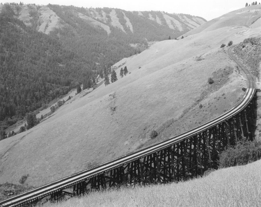 Camas Prairie #20, 2006
Gelatin Silver Print
© Mark Ruwedel, Courtesy Yossi Milo Gallery, New York