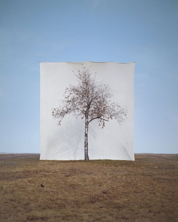Tree # 1, Archival Ink-jet print on paper, 125x100cm, 2006