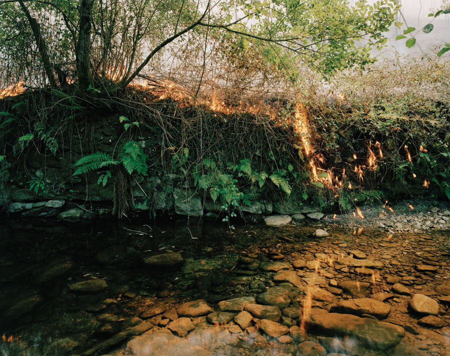 Excerpted from <a href=