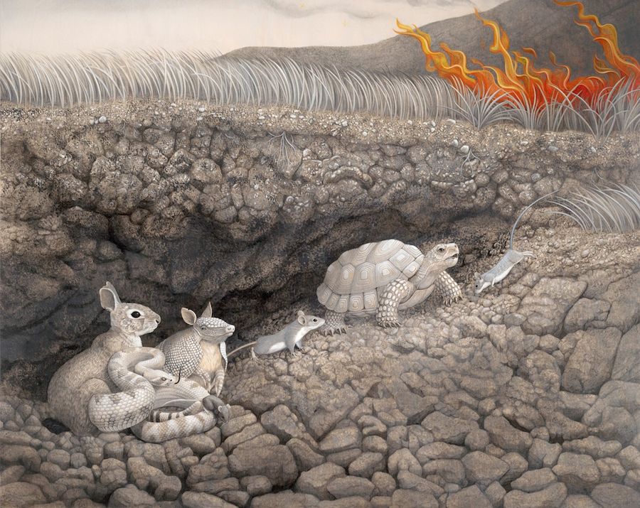 Common Enemy
Acrylic on maple panel, 29