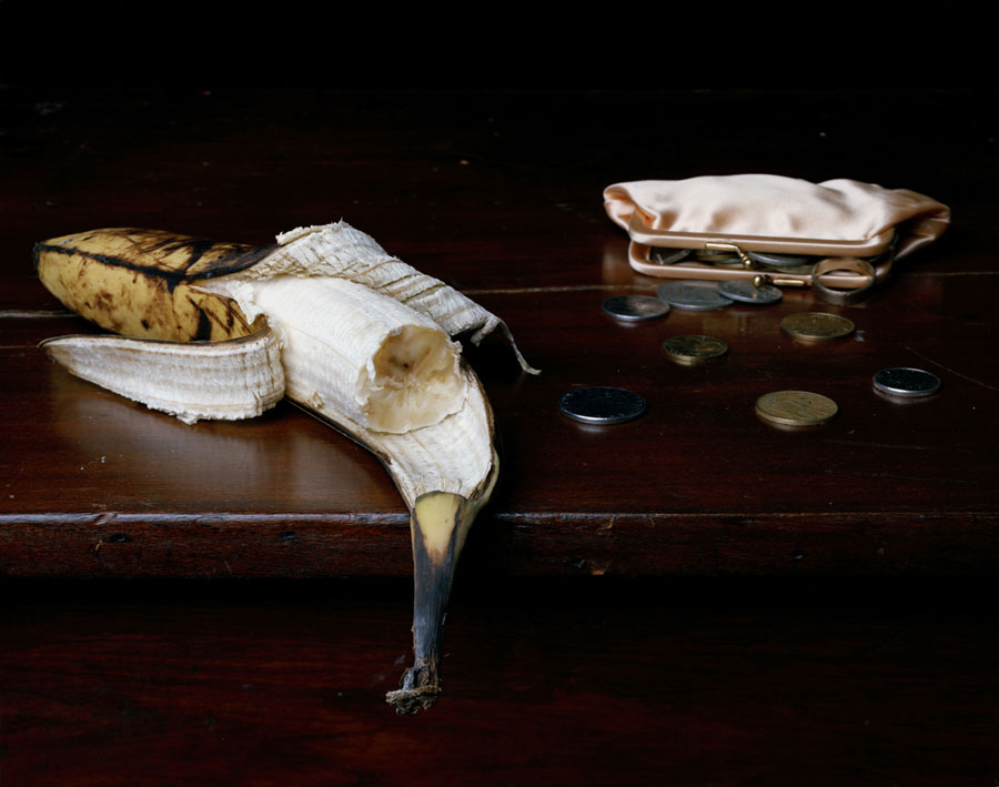Still Life with Banana, Purse & Change, 2009