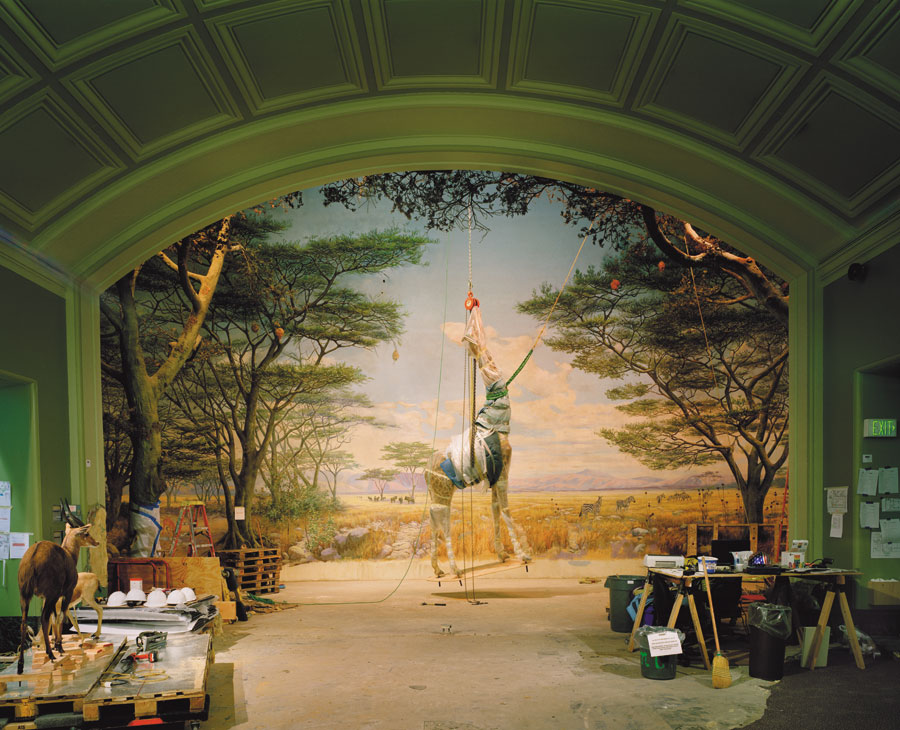 From Richard Barnes's <i><a href=