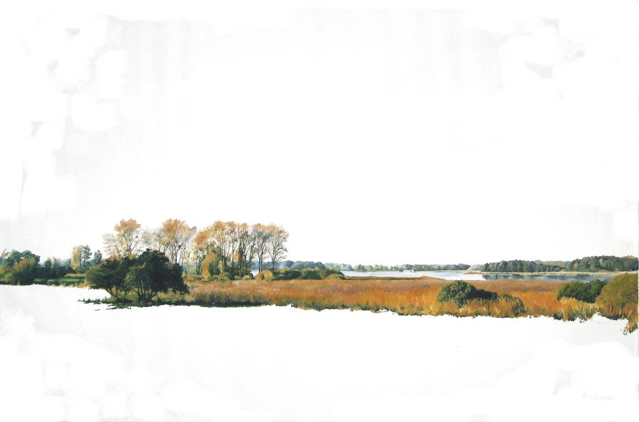 Mueritz, June 2006, 240x160cm