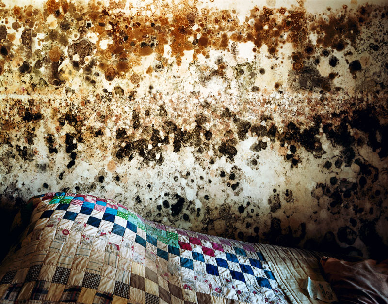 Quilt<br />
All images courtesy PEER Gallery, all images copyright © respectively Wyatt Gallery and Radek Skrivanek, all rights reserved.