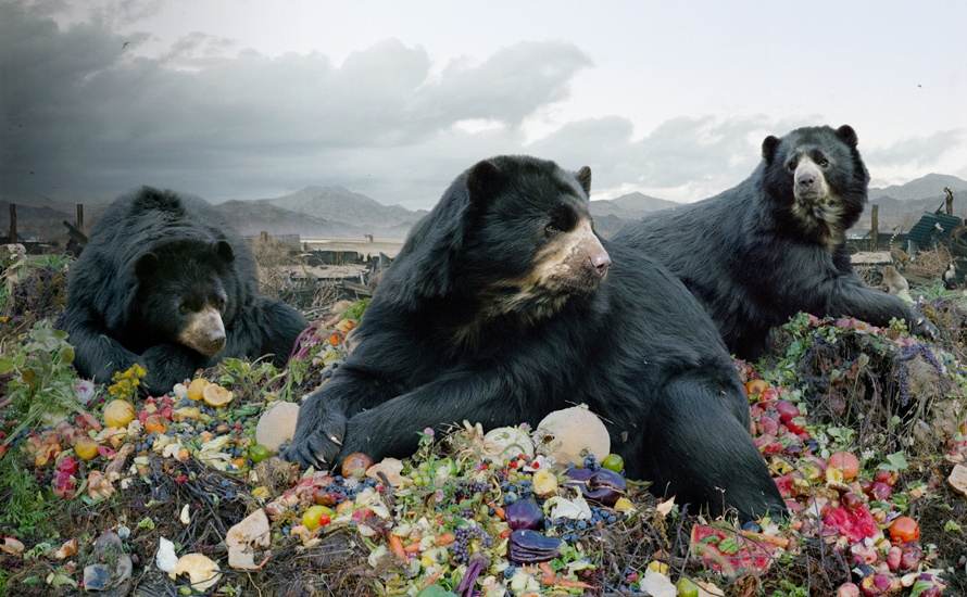 Simen Johan
Untitled #152, 2008
From the series Until the Kingdom Comes
Digital C-print
© Simen Johan, Courtesy Yossi Milo Gallery, New York