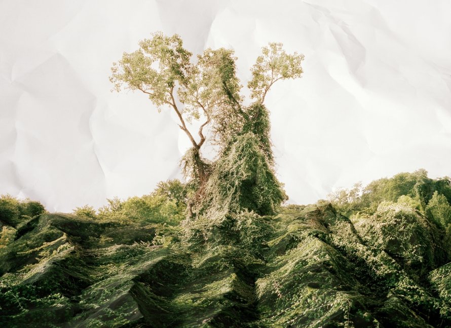 Response to print of <i>Kudzu, Texas</i>, 2010.