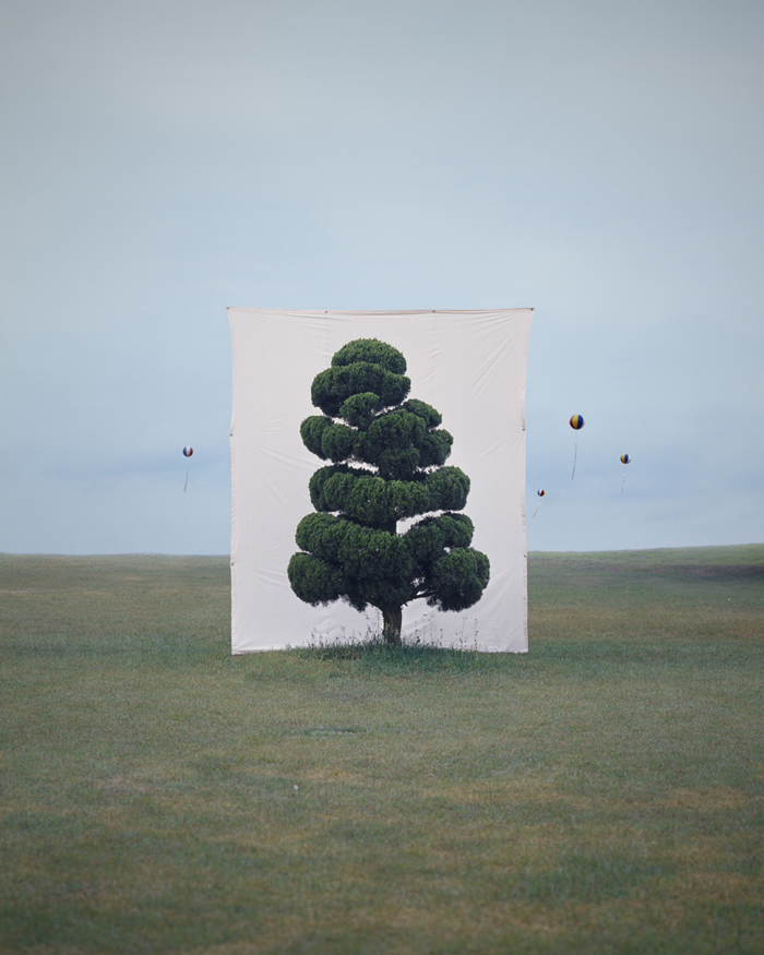 Tree # 2, Archival Ink-jet print on paper, 125x100cm, 2006