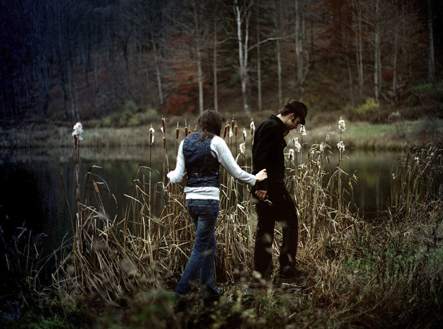 Milkweed, Big Indian, New York, 2006