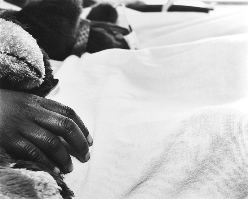 Jay Davis, Worcester, Mass., 2006