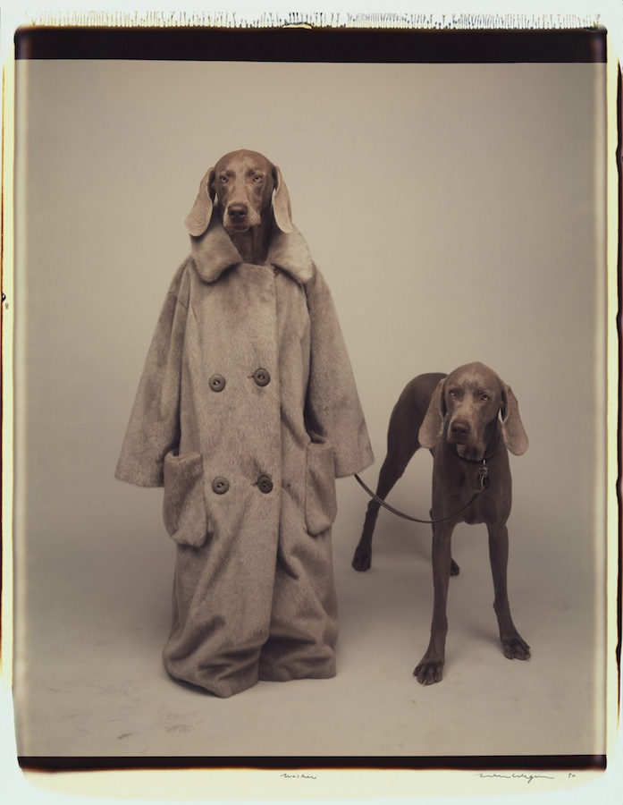 Walker
Color Polaroid, 24