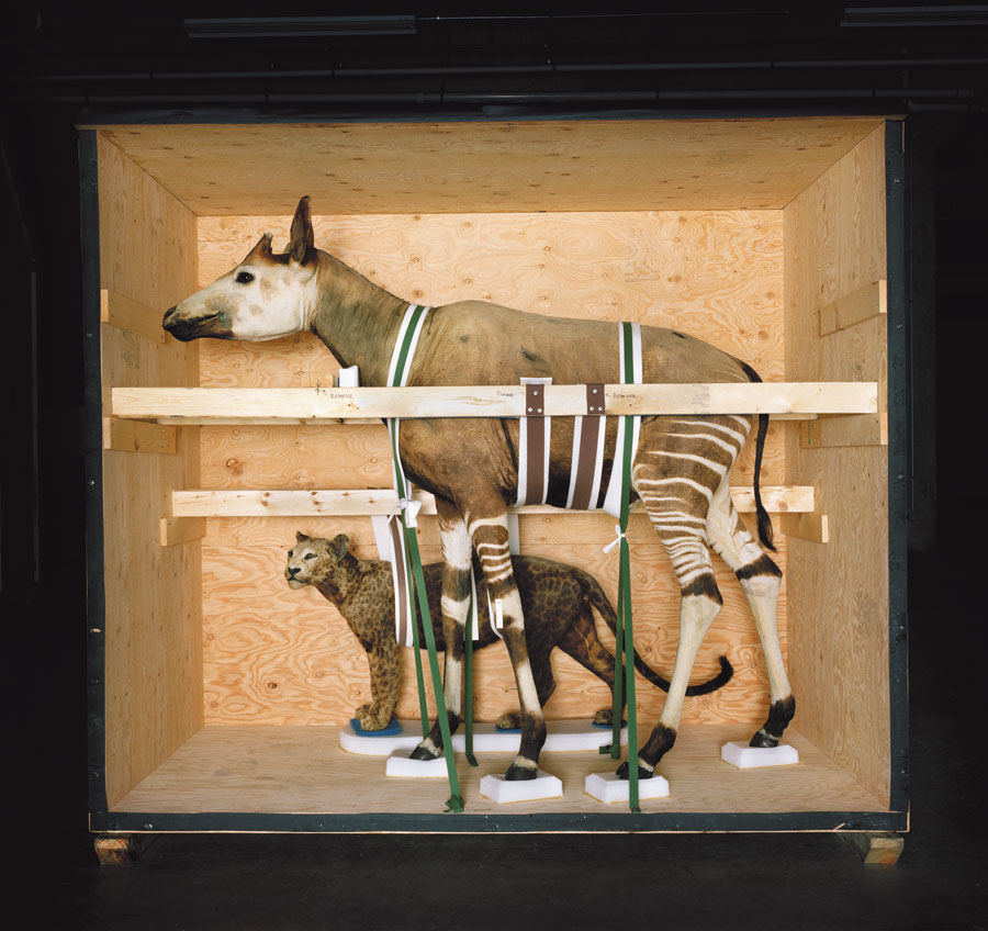 From Richard Barnes's <i><a href=