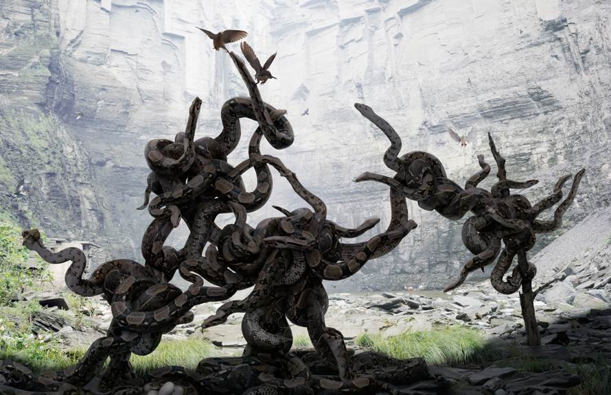 Simen Johan
Untitled #154, 2009
From the series Until the Kingdom Comes
Digital C-print
© Simen Johan, Courtesy Yossi Milo Gallery, New York