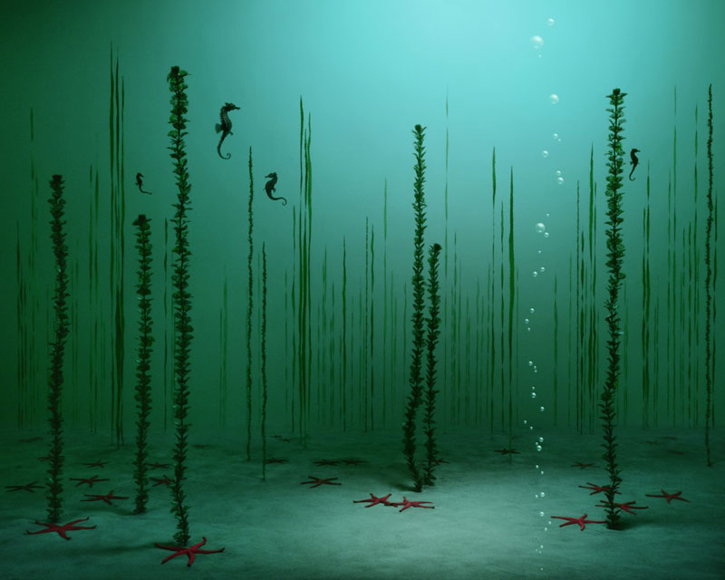 Underwater Garden, 2005