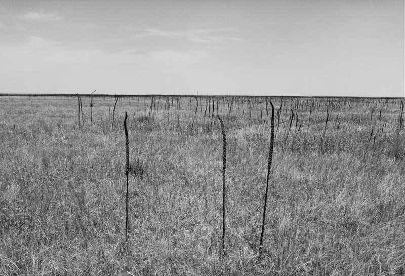 Ghost Dance Site in the Badlands, Pine Ridge Reservation, South Dakota, 1989<br />
All images appear courtesy of the Amon Carter Museum, Fort Worth, Texas; copyright © Drex Brooks, all rights reserved.