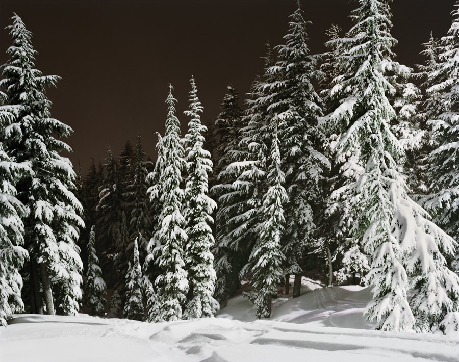 27th of December
Copyright © Michele Abeles