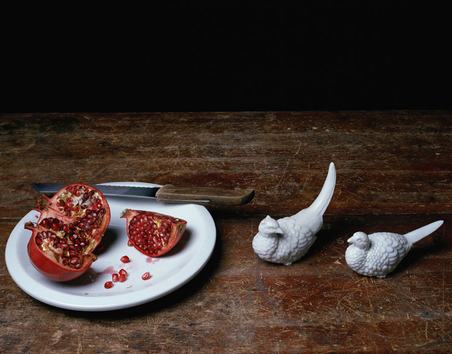 Still Life With Pomegranate & Birds