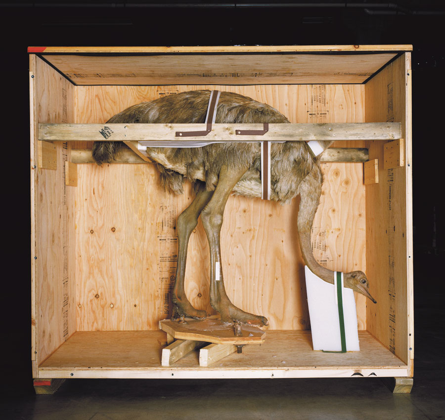 From Richard Barnes's <i><a href=