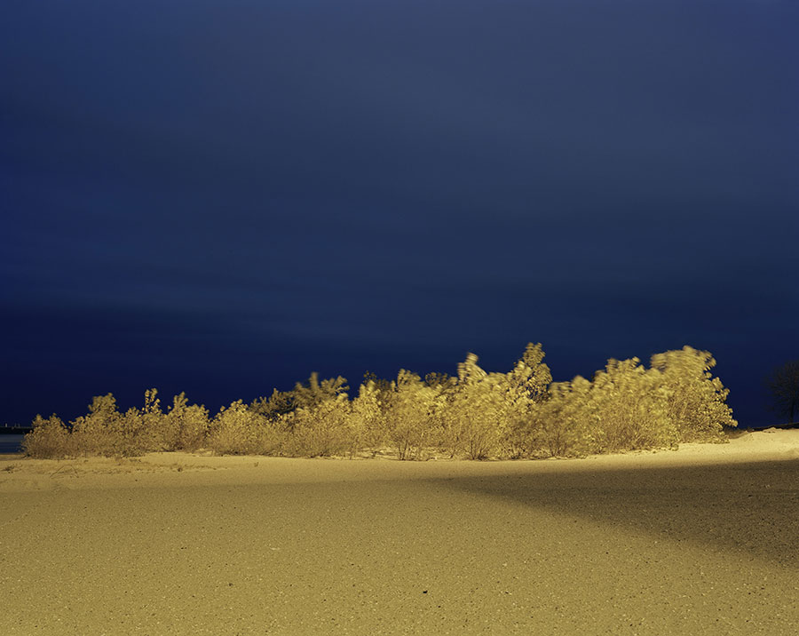 Chicago 1893 World's Fair, 