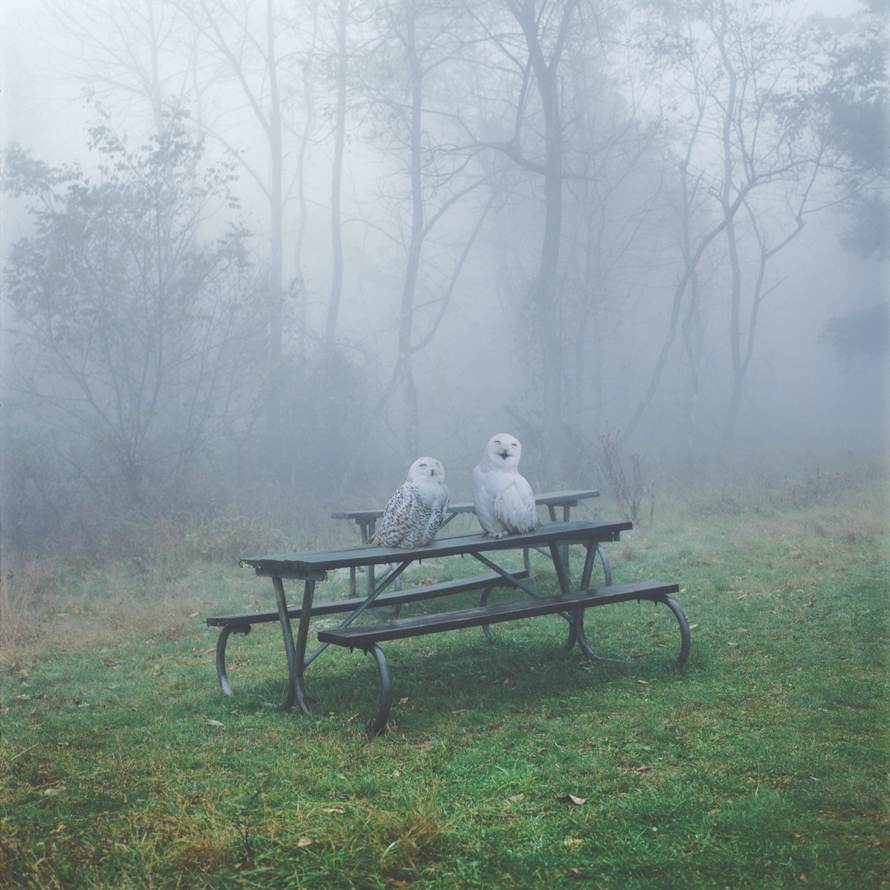 Simen Johan
Untitled #132, 2005
From the series Until the Kingdom Comes
Digital C-print
© Simen Johan, Courtesy Yossi Milo Gallery, New York