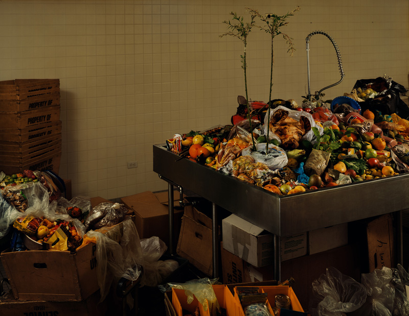 U.S. Customs and Border Protection, Contraband Room<br>John F. Kennedy International Airport, Queens, N.Y.<br /><br />
African cane rats infested with maggots, African yams (dioscorea), Andean potatoes, Bangladeshi cucurbit plants, bush meat, cherimoya fruit, curry leaves (murraya), dried orange peels, fresh eggs, giant African snail, impala skull cap, jackfruit seeds, June plum, kola nuts, mango, okra, passion fruit, pig nose, pig mouths, pork, raw poultry (chicken), South American pig head, South American tree tomatoes, South Asian lime infected with citrus canker, sugar cane (poaceae), uncooked meats, unidentified sub-tropical plant in soil.<br /><br />
All items in the photograph were seized from the baggage of passengers arriving in the U.S. at JFK Terminal 4 from abroad over a 48-hour period. All seized items are identified, dissected, and then either ground up or incinerated. JFK processes more international passengers than any other airport in the United States.
