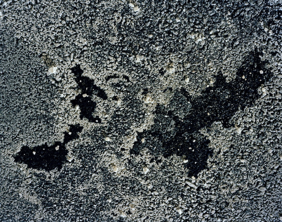 Salt, Carlisle, Pa.
2010