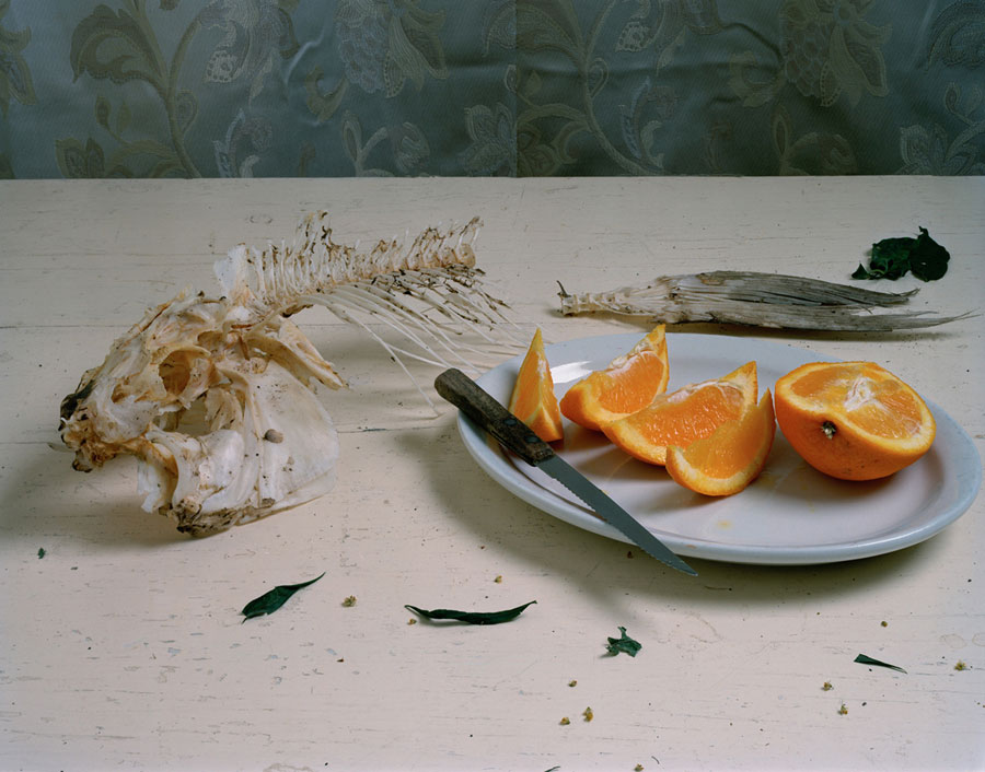 Still Life With Fish & Orange Slices, 2009