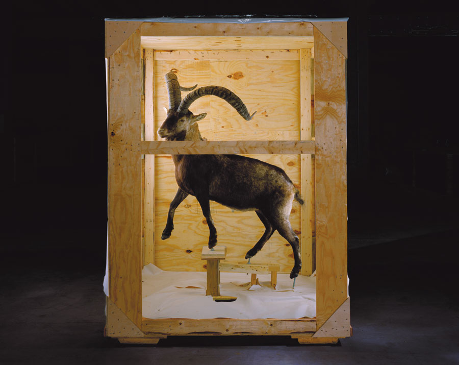 From Richard Barnes's <i><a href=